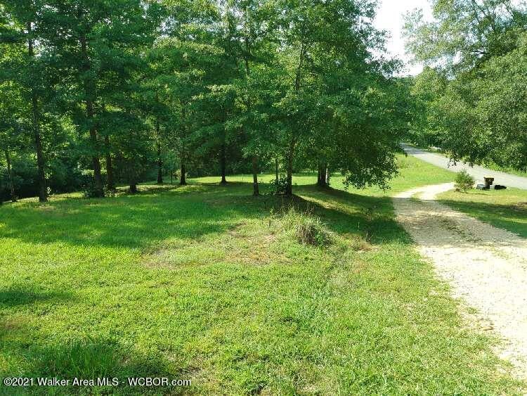 968 Wes Yielding Road Hackleburg, AL 35564 - Photo 39 of 43 Gallery Image 39