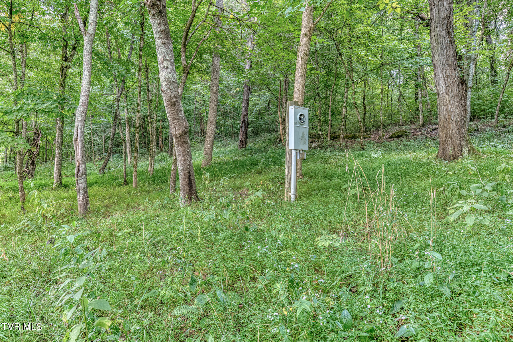 1633 Poplar Springs Road, Unit 6 Greeneville, TN 37743 - Photo 19 of 30 1633 Poplar Springs Rd-19