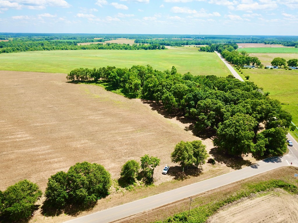 92 County Road 92 Slocomb, AL 36375 - Photo 16 of 58