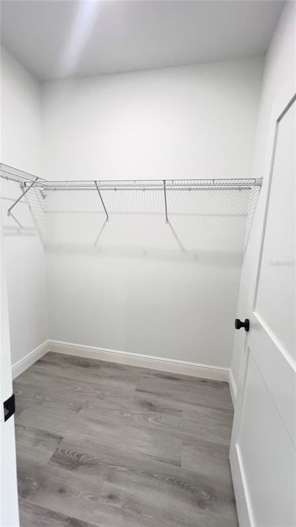 16734 Southwest 18th Avenue Road Ocala, FL 34473 - Photo 16 of 36 a view of an empty walk in closet