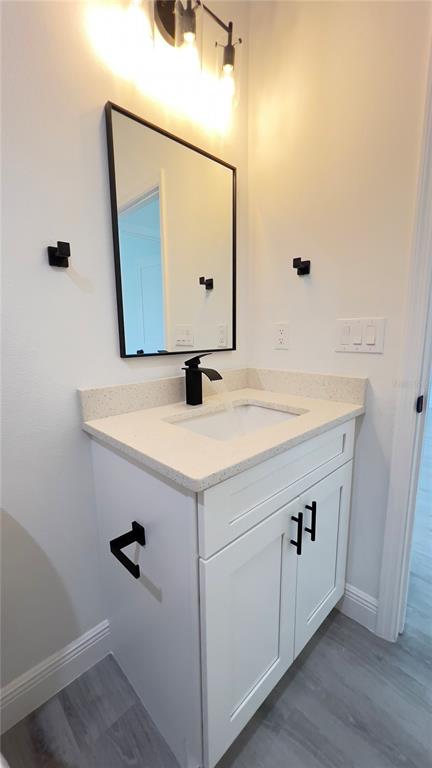 16734 Southwest 18th Avenue Road Ocala, FL 34473 - Photo 28 of 36 a bathroom with a sink and mirror