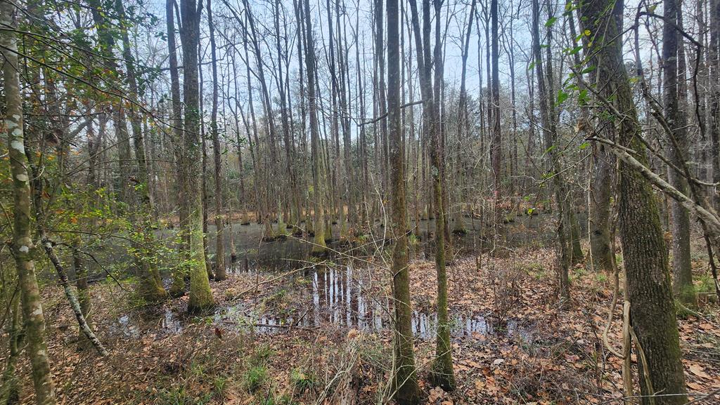 15.05 Pera Road Samson, AL 36477 - Photo 25 of 29