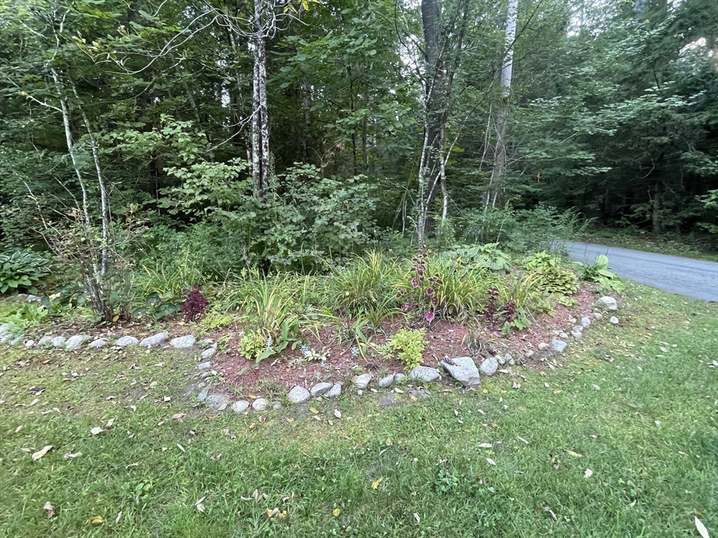 36 Old Battery Road Townsend, MA 01474 - Photo 12 of 33 a view of forest