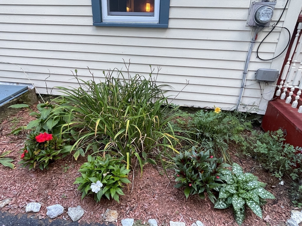36 Old Battery Road Townsend, MA 01474 - Photo 9 of 33 a close up of a potted plant