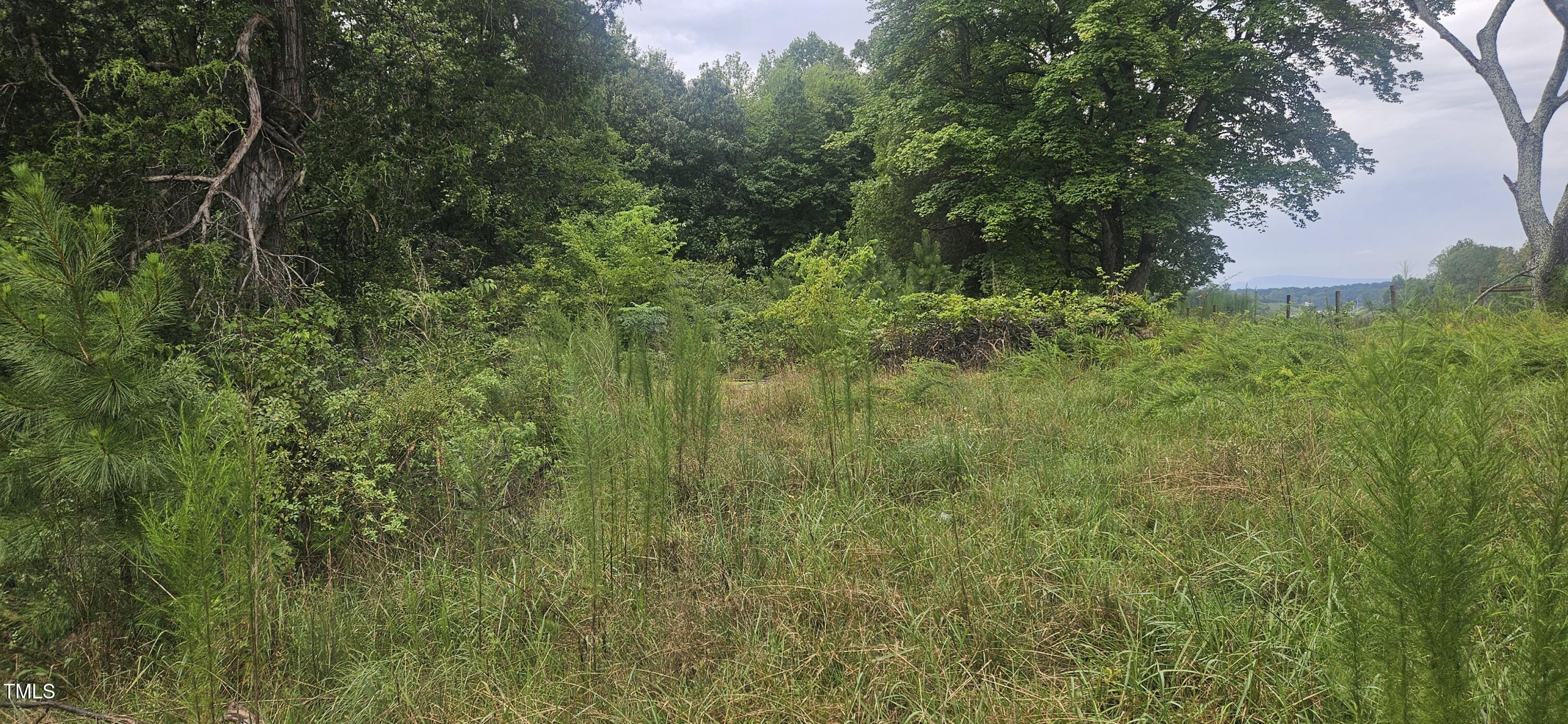 4944 Davis Road Winston-Salem, NC 27105 - Photo 8 of 16 20240813_091935