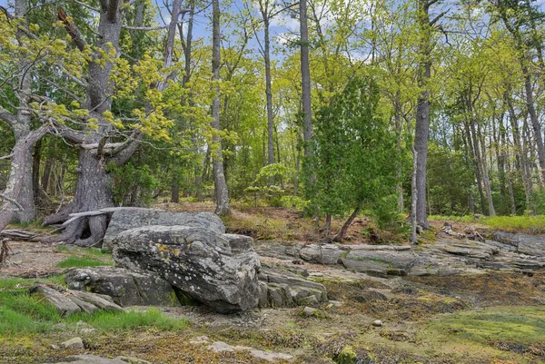 $725,000 | Lot#9 Kennebec Shores Road, Phippsburg, ME 04562