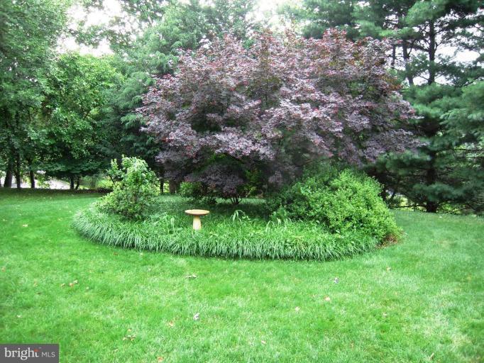 2320 Sugarcone Road Baltimore, MD 21209 - Photo 25 of 27 Back yard