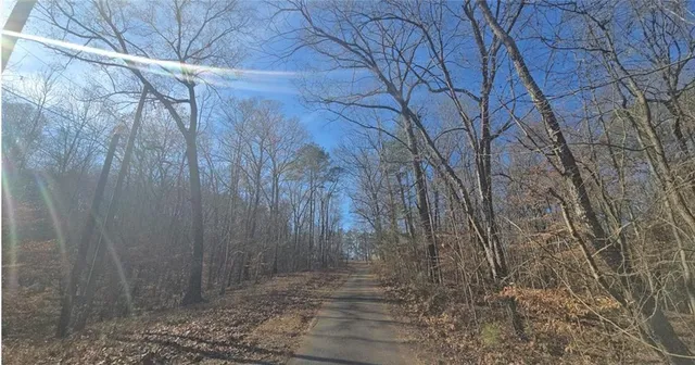 a view of a yard with trees