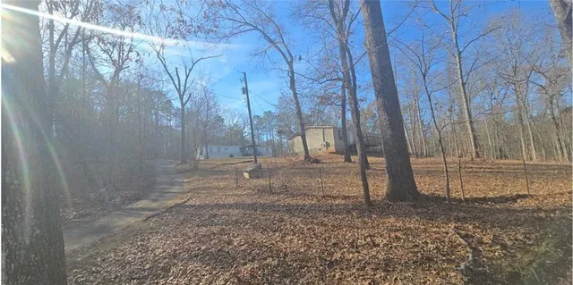 a view of a forest filled with trees