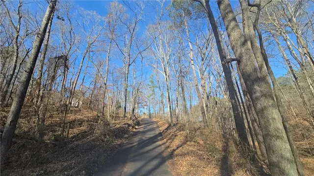 a view of a yard with street