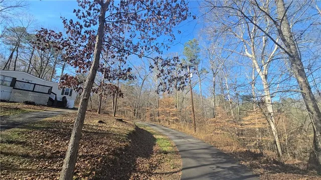 a backyard of a house with lots of green space