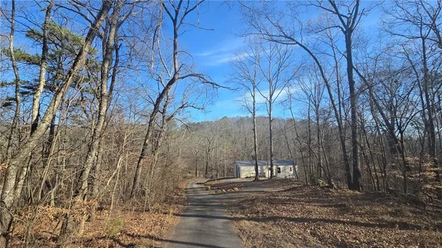 a view of a yard with a tree