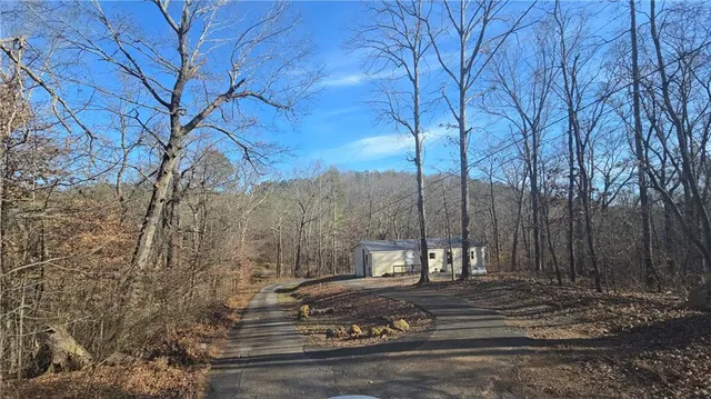 a view of a tree with large trees