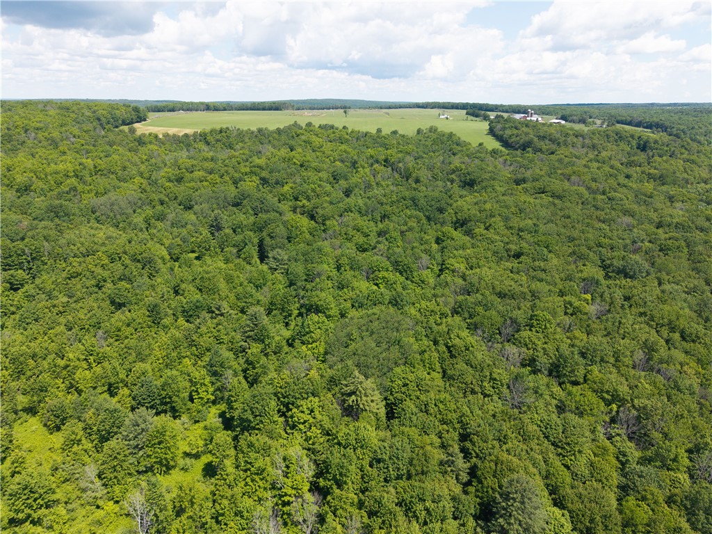 0 Schneider Road Fillmore, NY 14735 - Photo 48 of 50