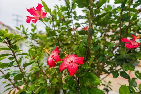 $11,750 | 1140 Laurel Avenue, Manhattan Beach, CA 90266