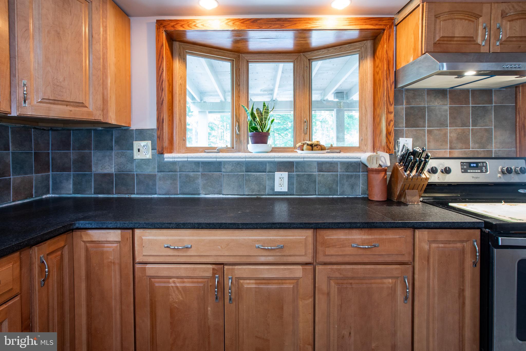 1757 Linvale Harbourton Road Lambertville, NJ 08530 - Photo 9 of 36