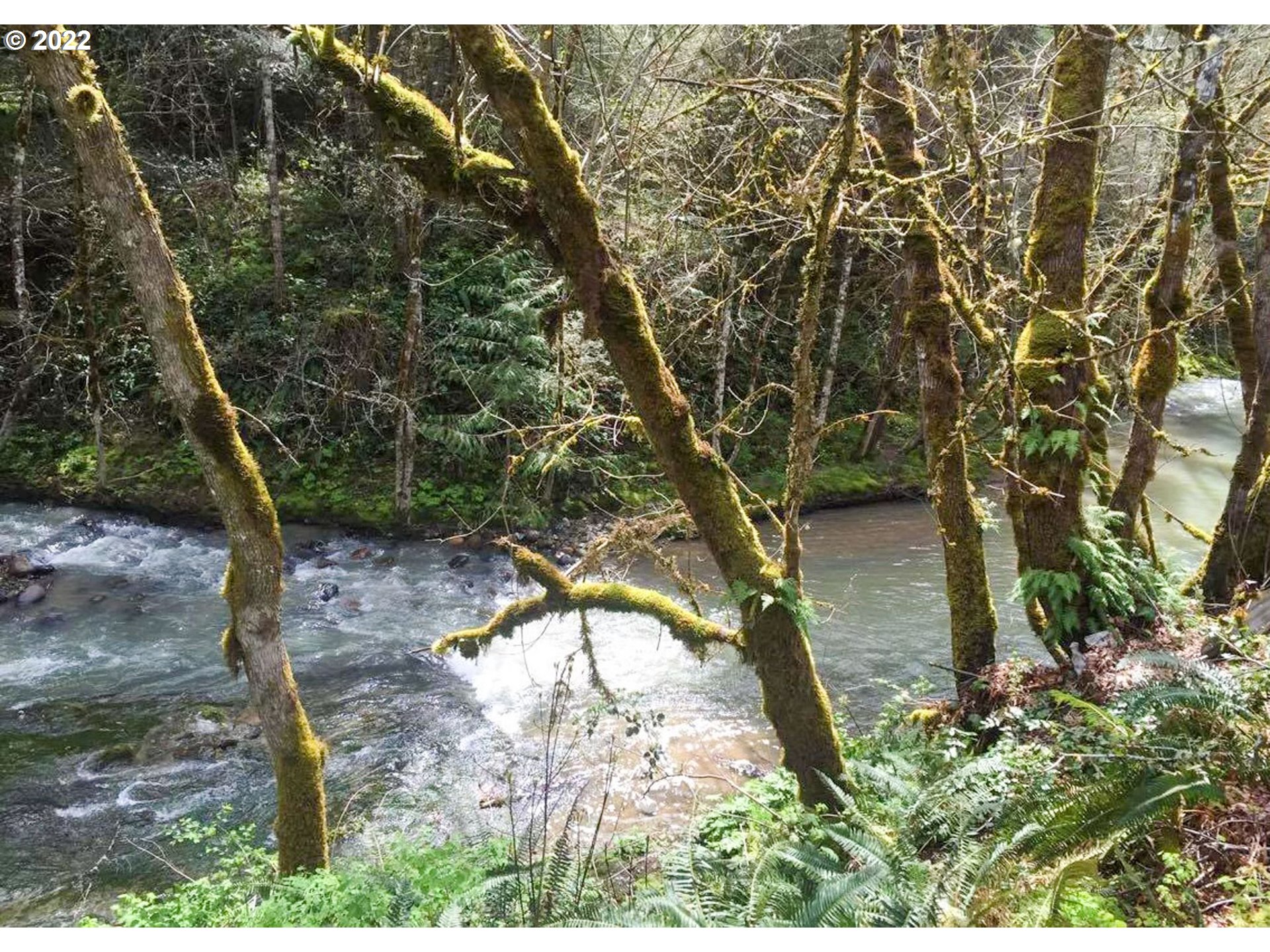 13621 South Myrtle Road Myrtle Creek, OR 97457 - Photo 29 of 32 Gallery Image 29