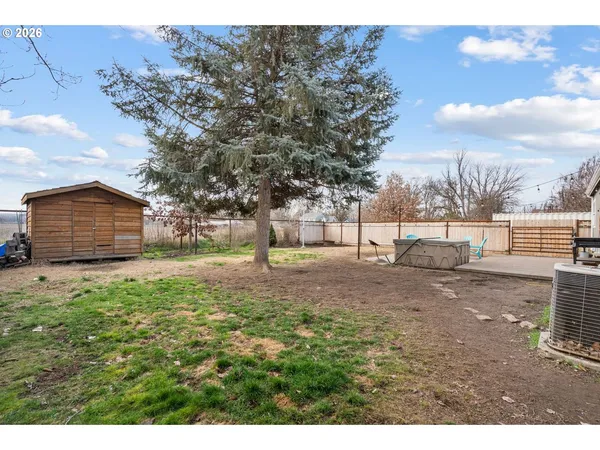 a view of backyard with tree