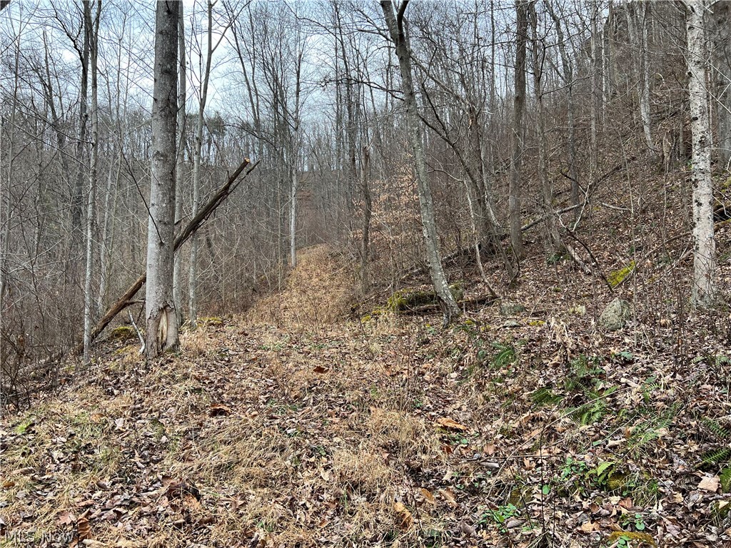 1101 Orchard Run Road Spencer, WV 25276 - Photo 15 of 31 Gallery Image 15