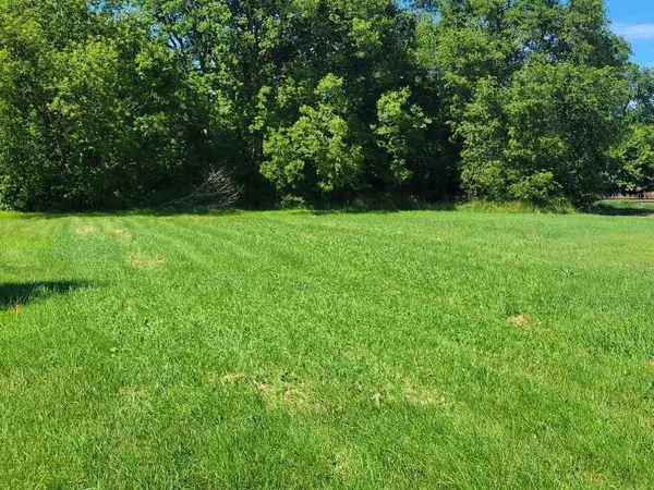 $8,000 | Tbd Cedar Street, Easton, MN 56025