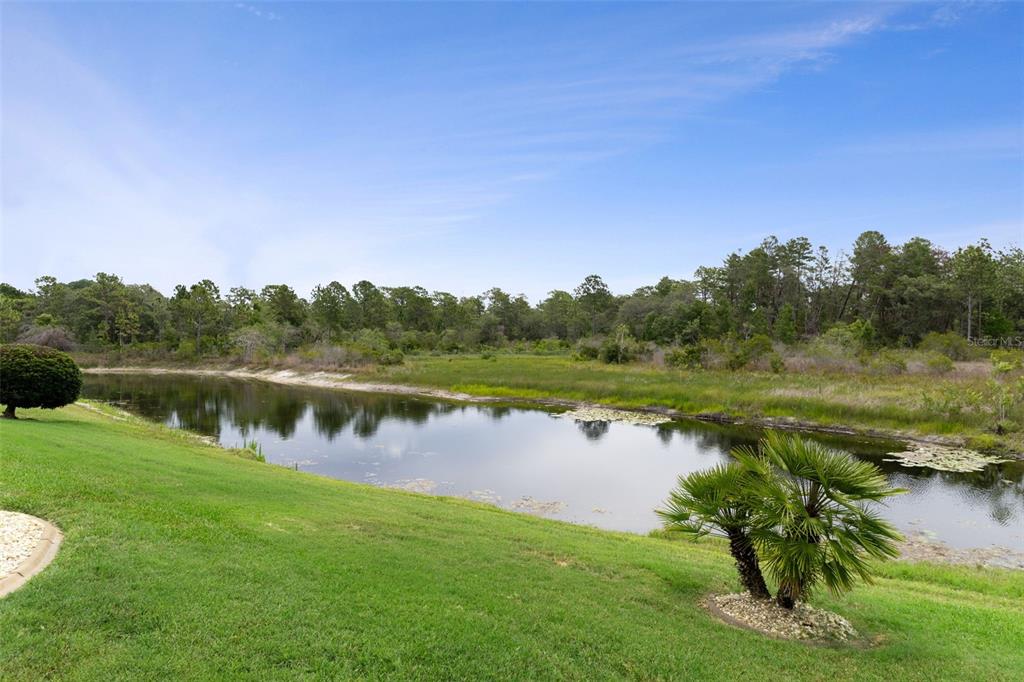9224 Mississippi Run Weeki Wachee, FL 34613 - Photo 60 of 77