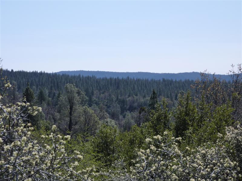 54 Parcel Road Whitmore, CA 96096 - Photo 8 of 14 3