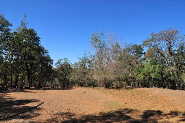 a view of ocean and snow