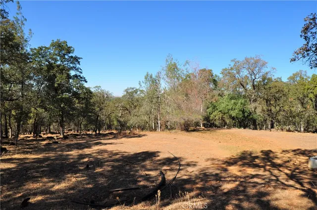 a view of road with trees