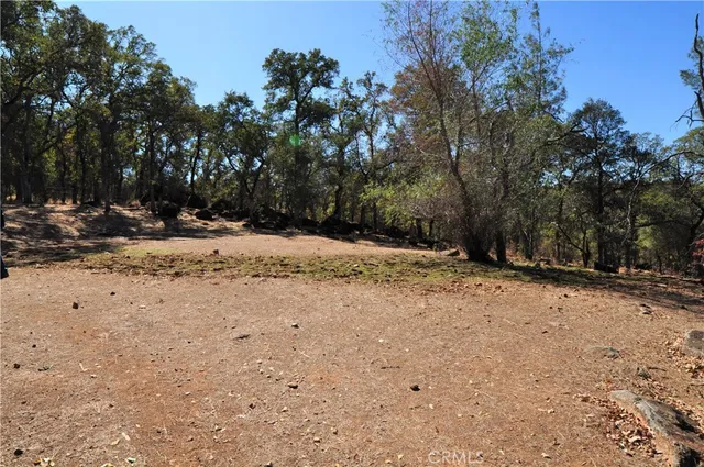 a view of a yard with trees