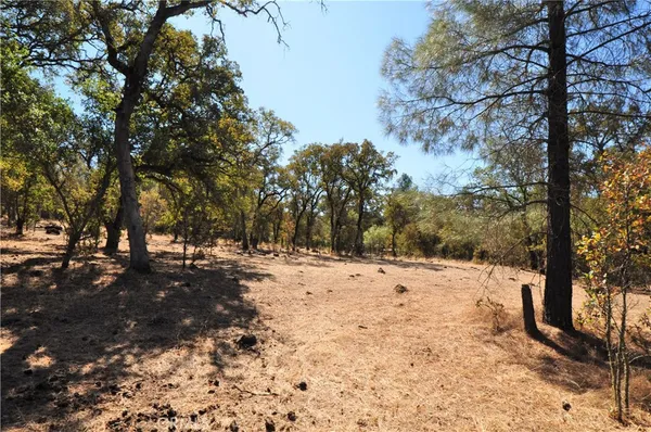 a view of a snow on the road
