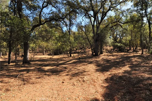 a view of road with trees