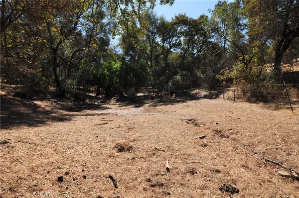 a view of snow on a road