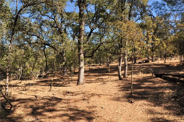 a view of a snow with trees in the background