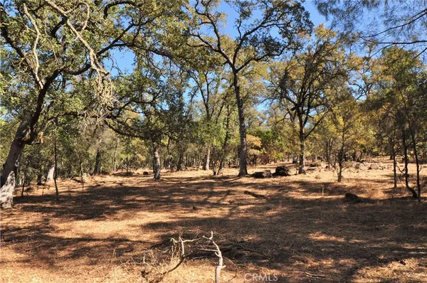 a view of road with trees