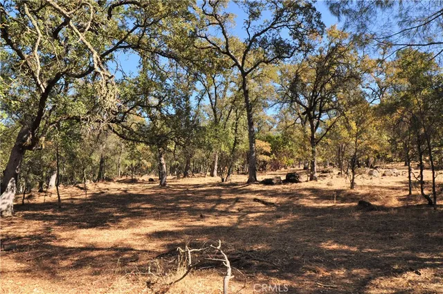 a view of road with trees