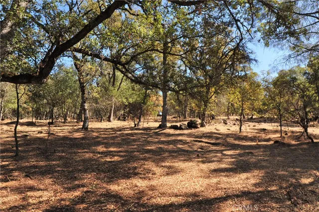 a view of road with trees