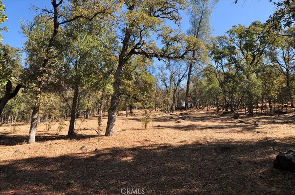 a view of road with covered with trees