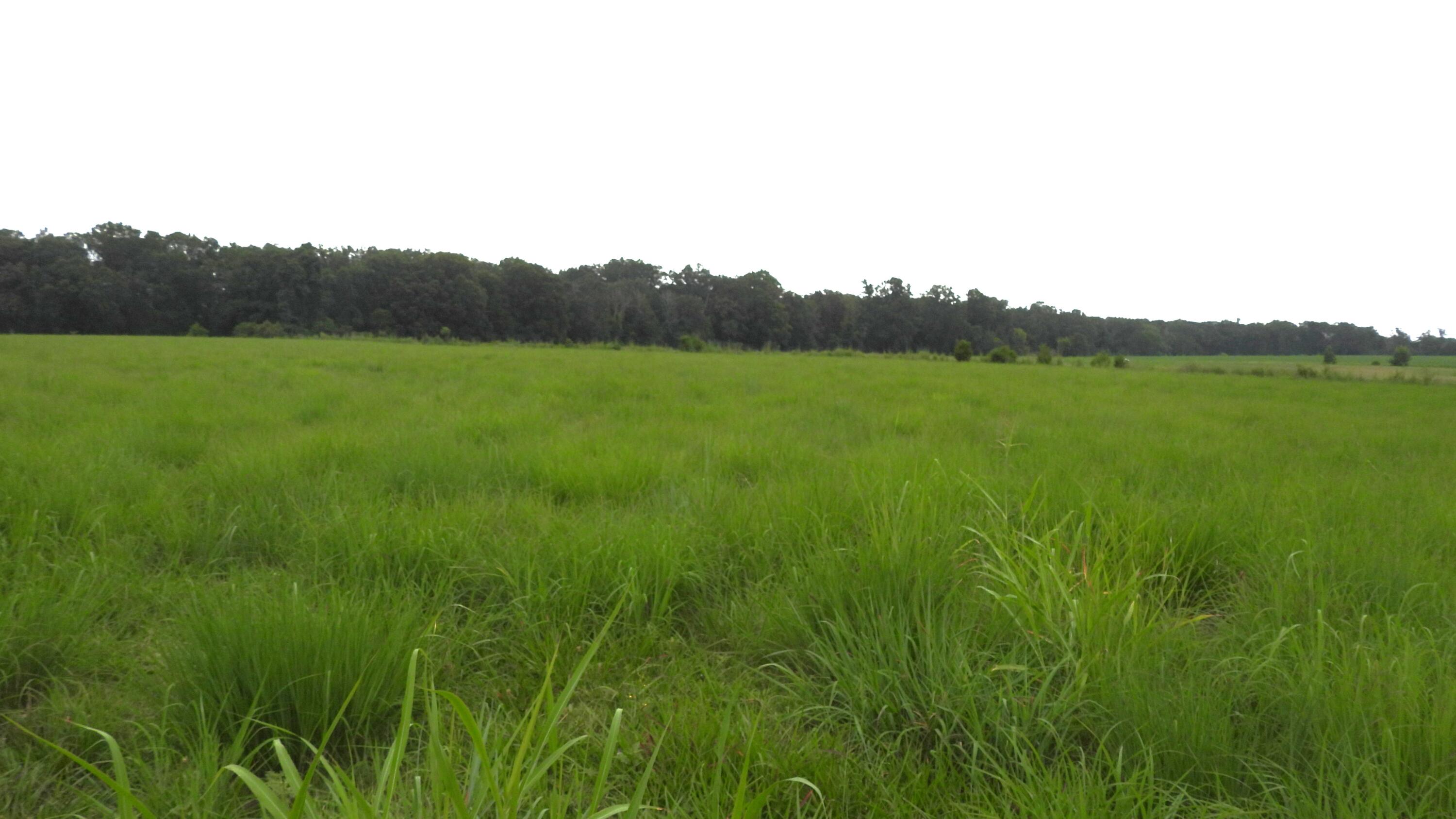 0 Double S Road Dayton, TN 37321 - Photo 3 of 20 DSCN1968