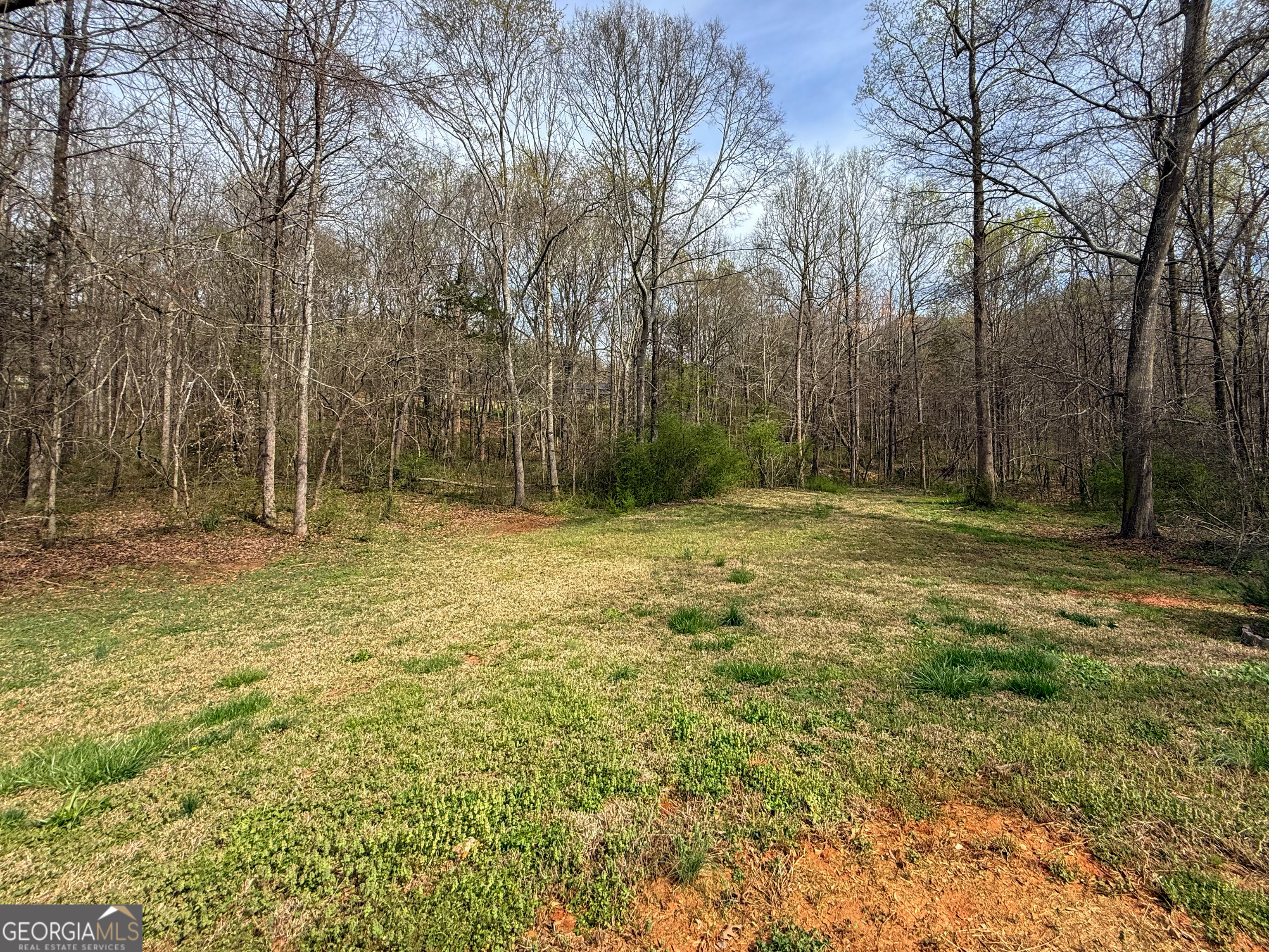 1492 Highway 198 Carnesville, GA 30521 - Photo 21 of 25