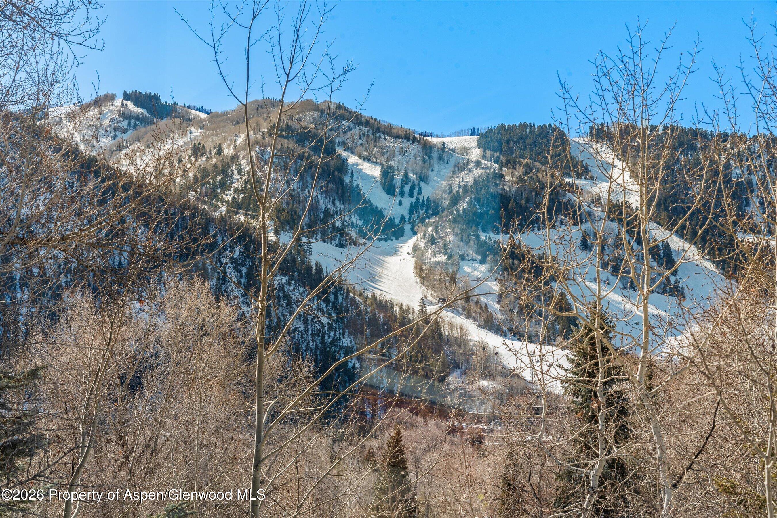 515 Park Circle Aspen, CO 81611 - Photo 29 of 34 a view of a house with a mountain and trees