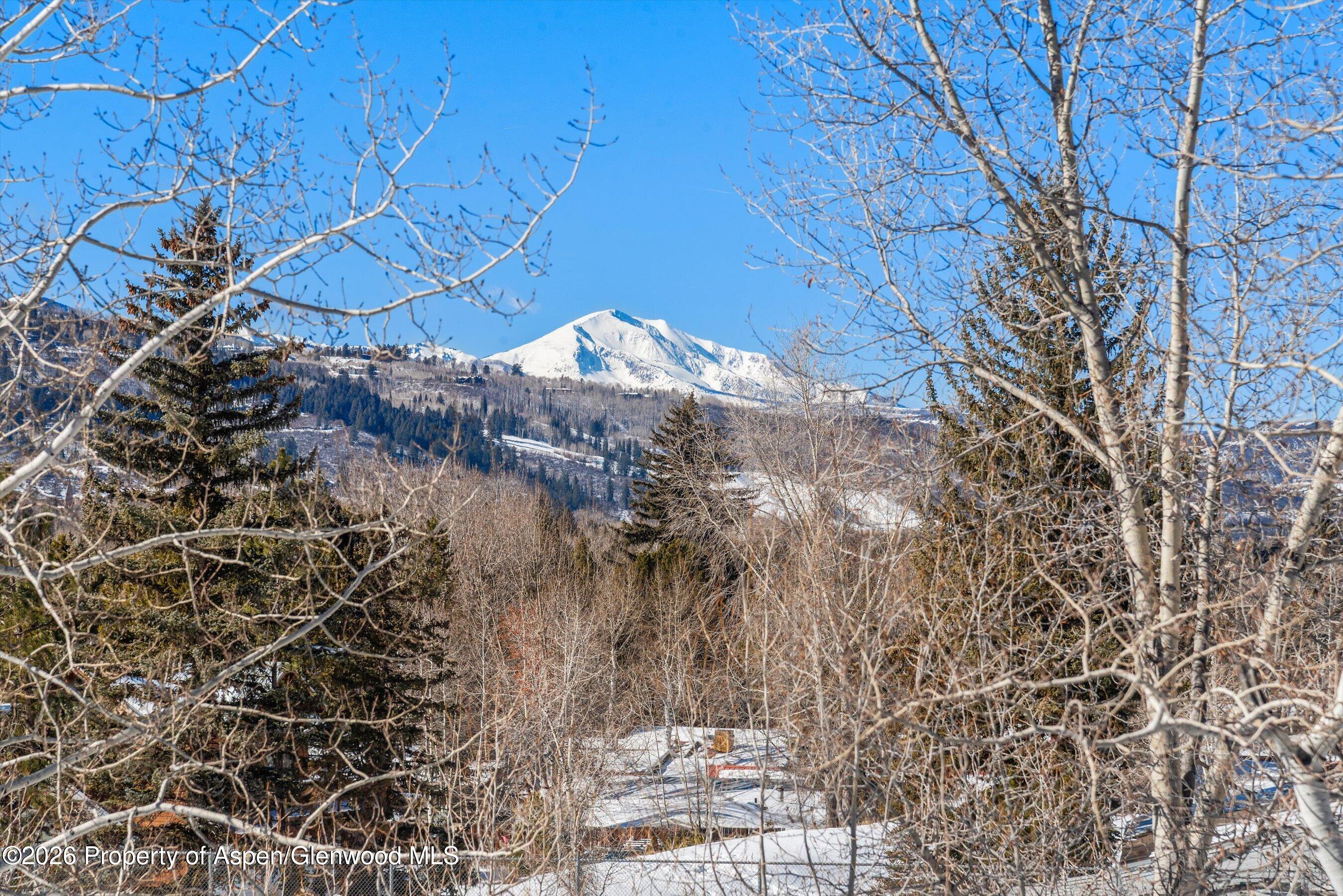 515 Park Circle Aspen, CO 81611 - Photo 30 of 34 a view of a tree with a yard