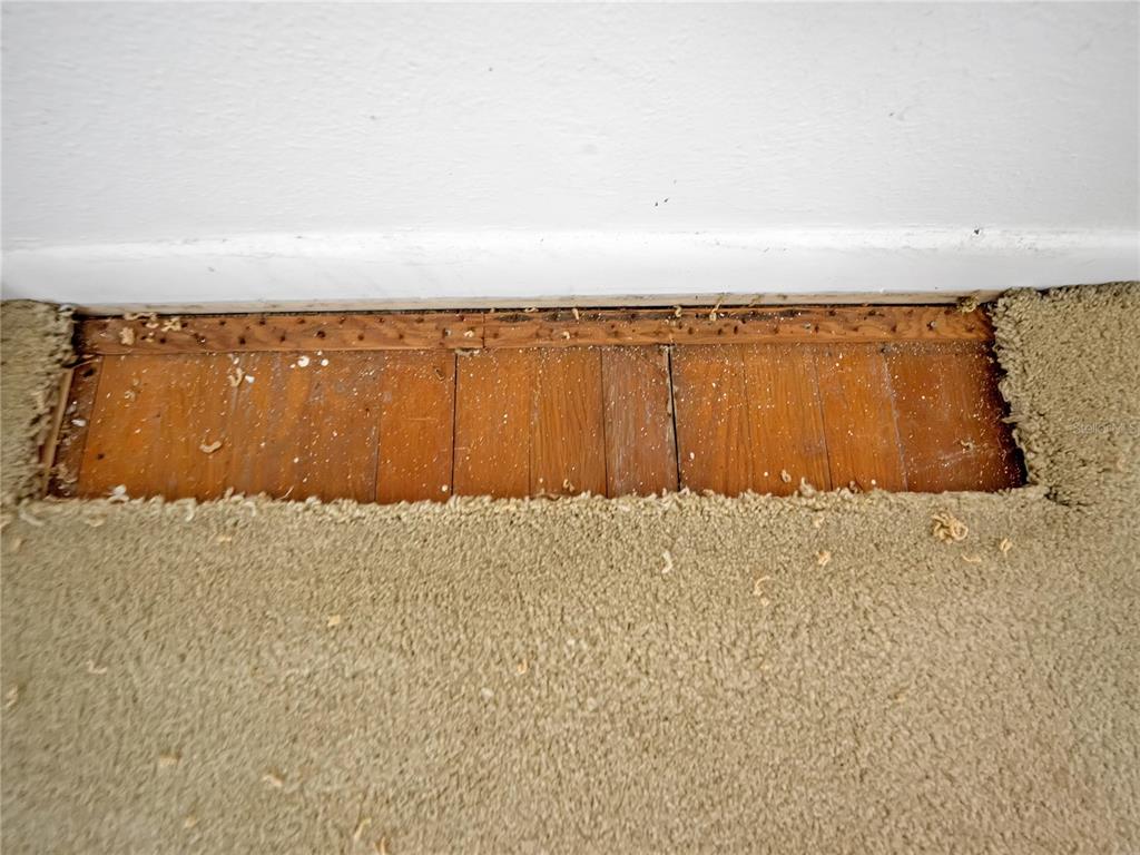 1631 Southeast 17th Street Ocala, FL 34471 - Photo 36 of 36 a view of ocean with beach