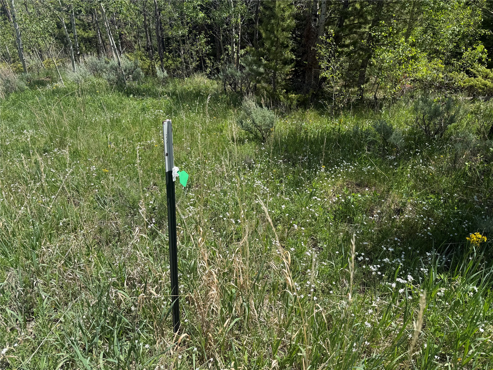 Tbd Spring Creek Ranch Road Silverthorne, CO 80498 - Photo 22 of 48