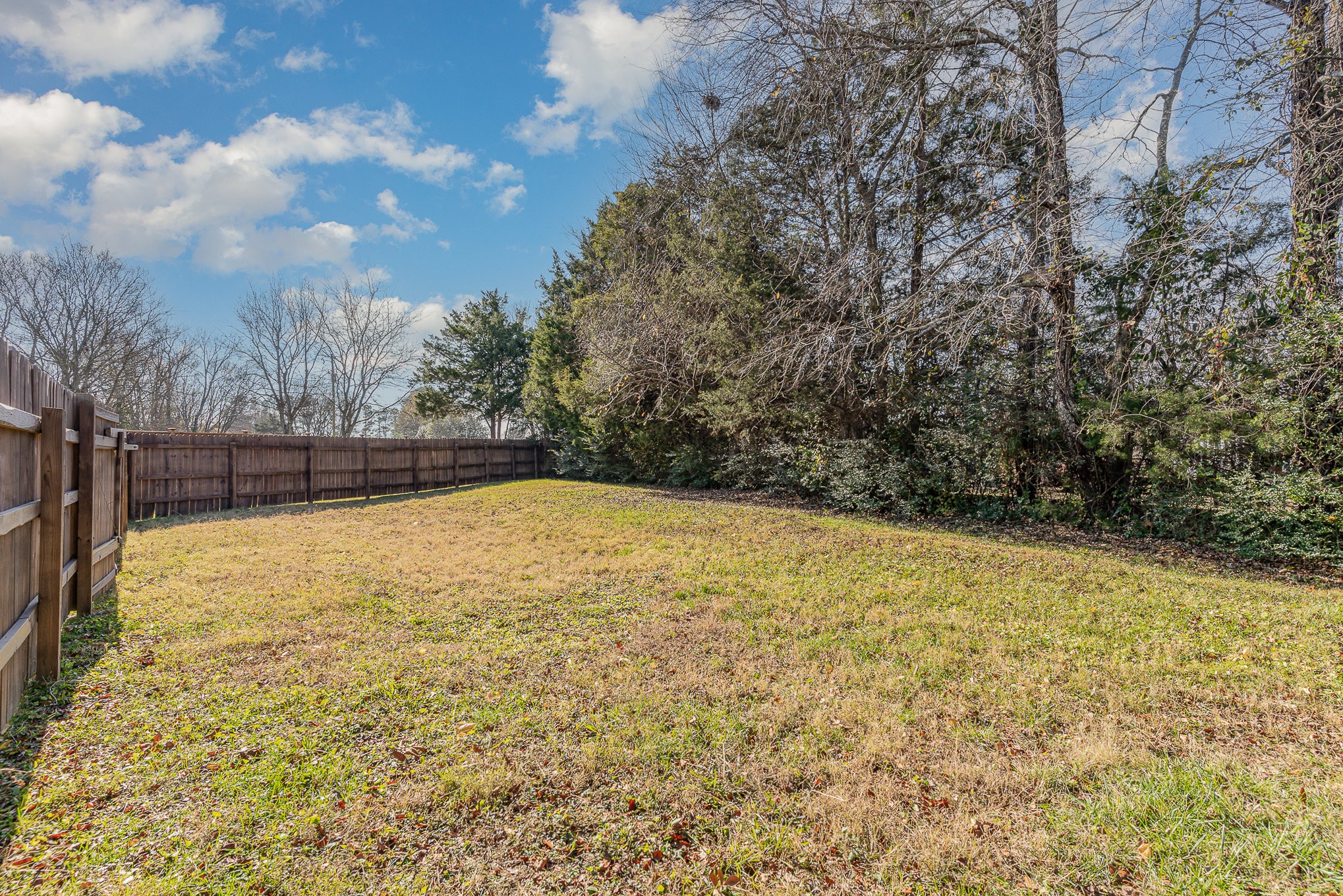 242 Foundry Circle Murfreesboro, TN 37128 - Photo 26 of 26 a view of a yard with a trees