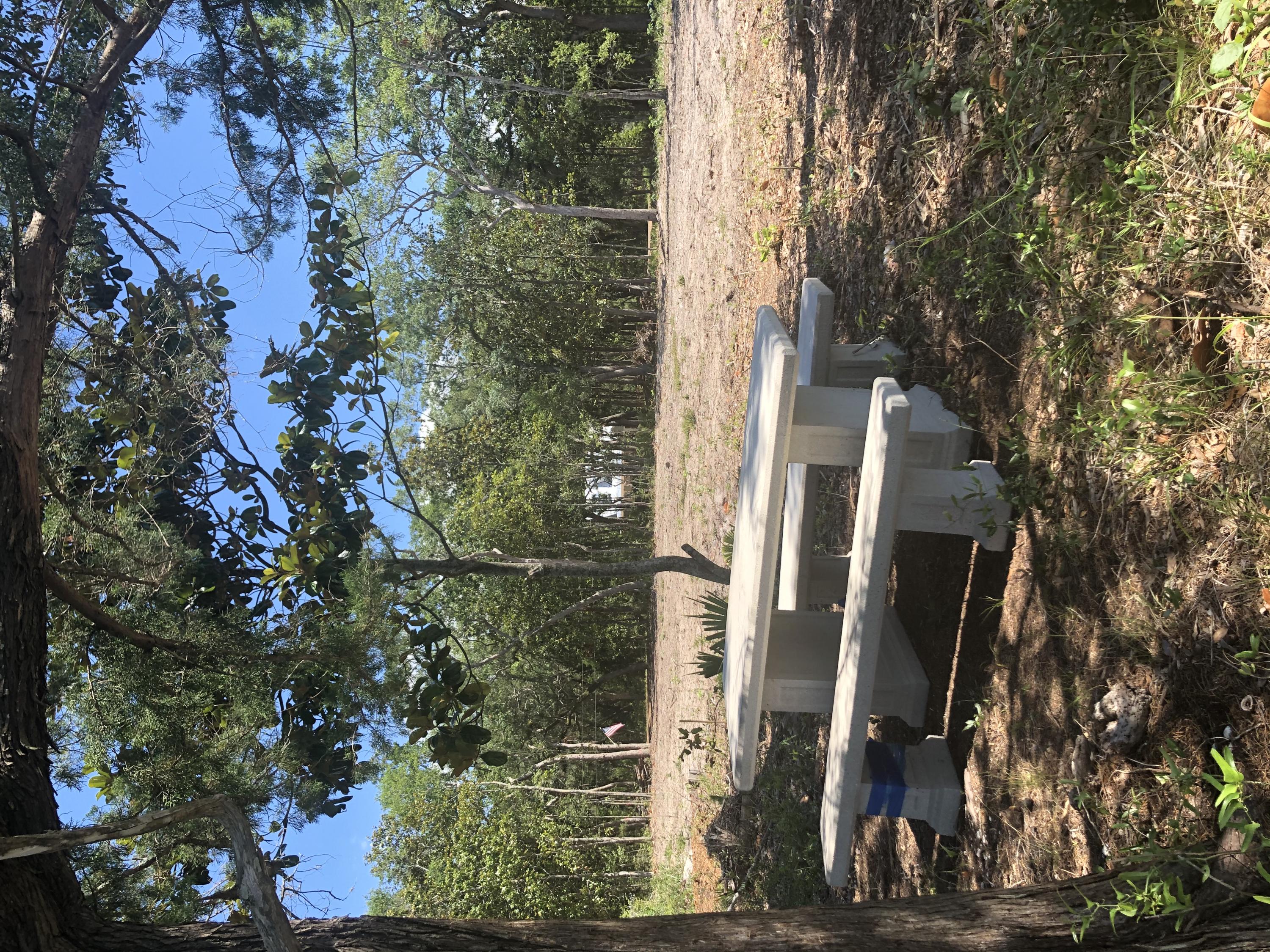 Lot 92 Red Barn Road Freeport, FL 32439 - Photo 8 of 12 Gallery Image 8