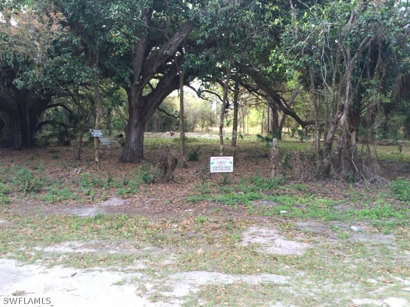 22420 Tuckahoe Road Alva, FL 33920 - Photo 1 of 1 a backyard of a house with lots of green space