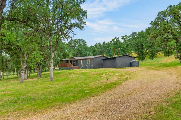 a view of a backyard with large trees