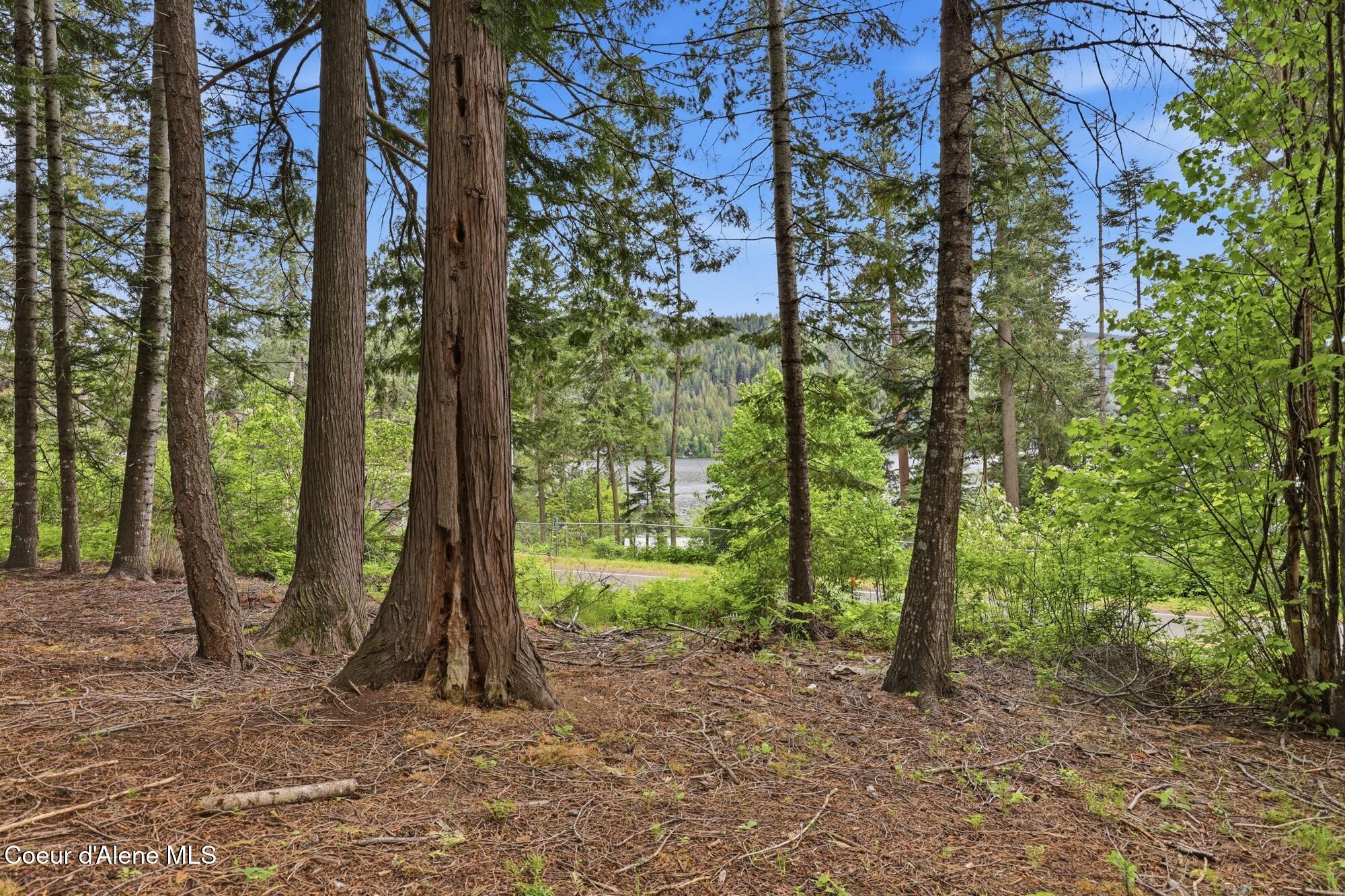8993 West Twin Lakes Road Rathdrum, ID 83858 - Photo 31 of 36 44_8993 w twin lakes rd