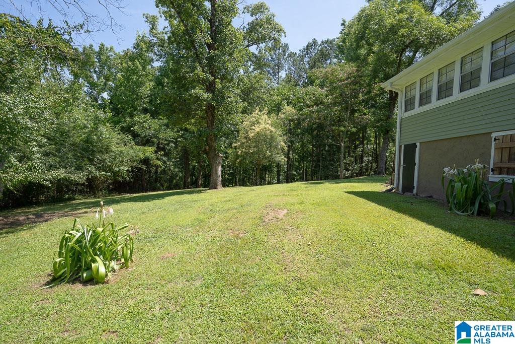 181 Old Lodge Road Woodstock, AL 35188 - Photo 49 of 51