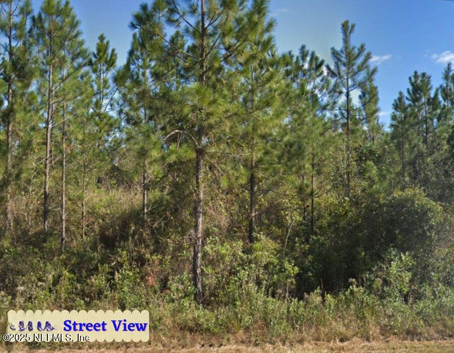 0 Rowe Road Hilliard, FL 32046 - Photo 9 of 10 10